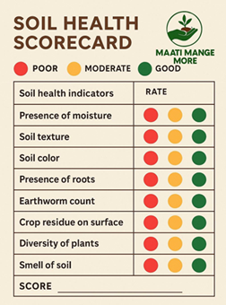 Soil Health Scorecard
